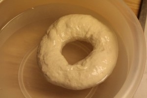 sourdough-bagels017