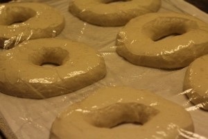 sourdough-bagels018