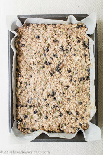 Chewy Sourdough Blueberry & Date Granola Bars
