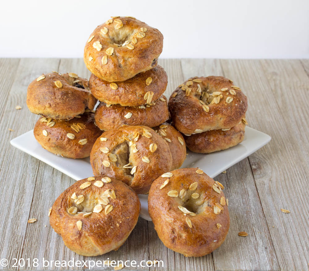 Mini Sourdough Oatmeal Blueberry Egg Bagels and Bagel Loaf - Bread ...