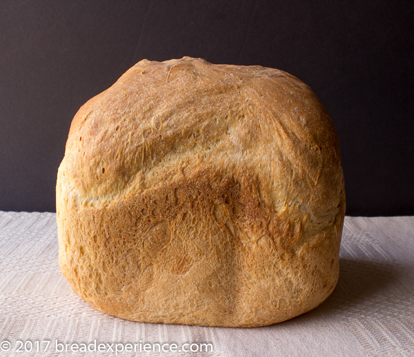 Sourdough Bread Machine Bread