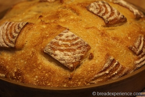 Classic Sourdough in a La Cloche