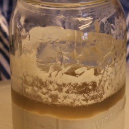 Activating Sourdough Culture Starter