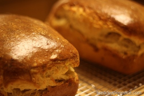 Sourdough Brioche Babka