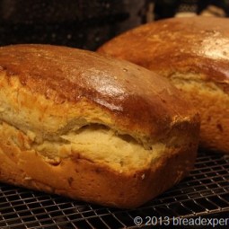 Sourdough Brioche Babka