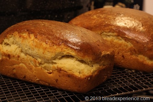 Sourdough Brioche Babka