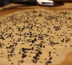 sourdough-einkorn-barley-crackers_106