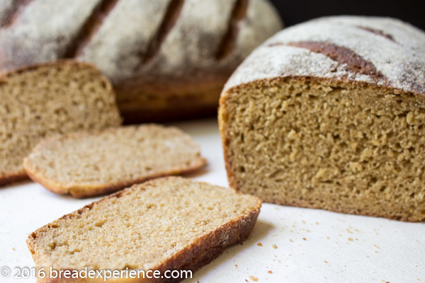 Whole Grain Sourdough Einkorn Loaves