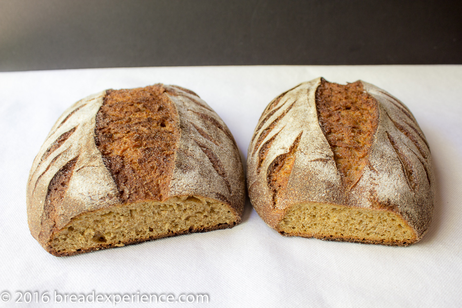 Sourdough Loaves made with flour milled from einkorn grains from Einkorn.com and Jovial Foods