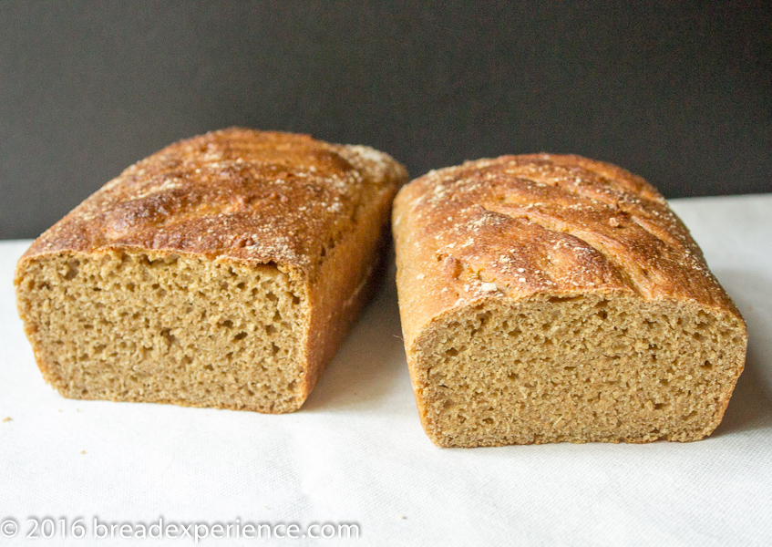Sourdough Loaves made with Einkorn.com and Azure Farms Einkorn grains
