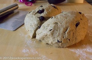 sourdough-einkorn-scones-2