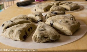 sourdough-einkorn-scones-3-2