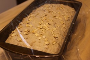 sourdough-einkorn-spelt-multigrain_23