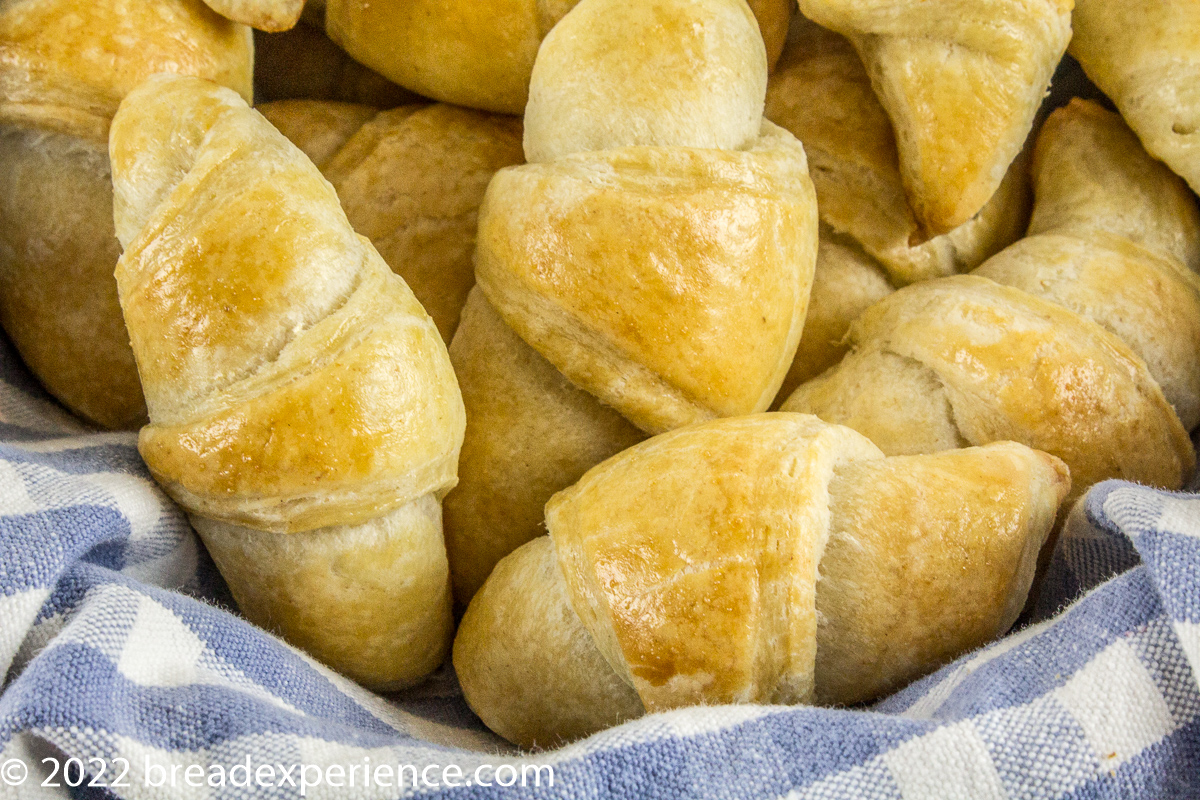 Sourdough Crescent Rolls brushed with an egg wash