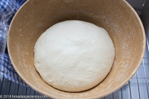Round ball of sourdough garlic knot dough resting in a metal mixing bowl during bulk fermentation.