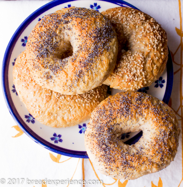 Sourdough Kefir Milk Sprouted Wheat Bagels