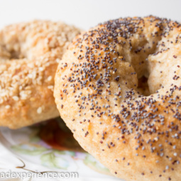 Sourdough Kefir Water Bagels