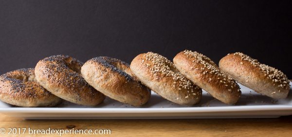 Sourdough Kombucha Bagels in a row