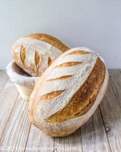 Olive Oil Rosemary Loaves - 1