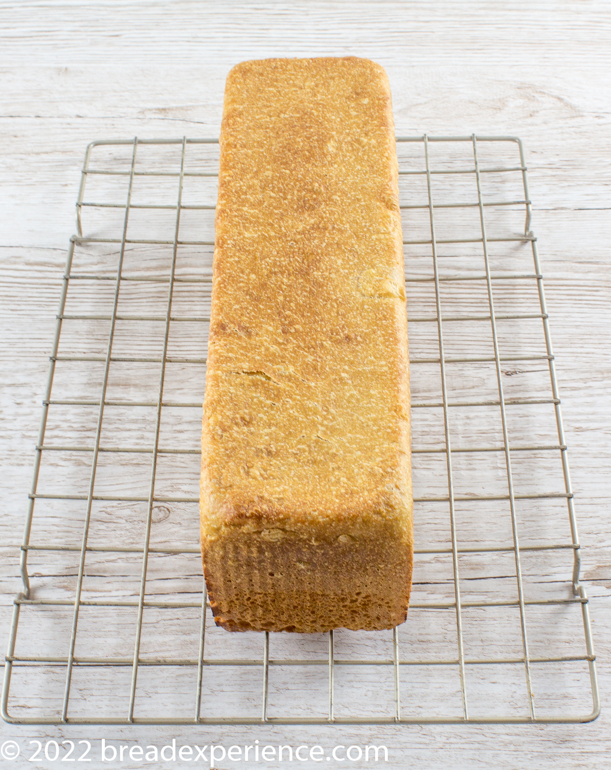 Sourdough Pullman Loaf cooling on a wire rack