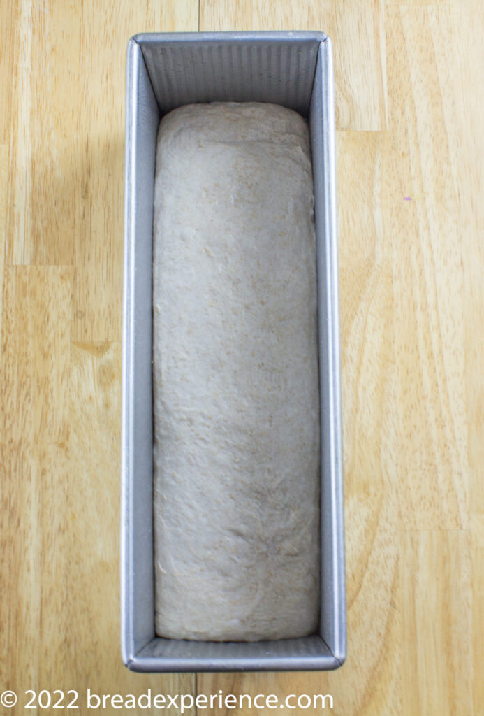 Dough pressed into the corners of pan Dough pressed into the corners of pan