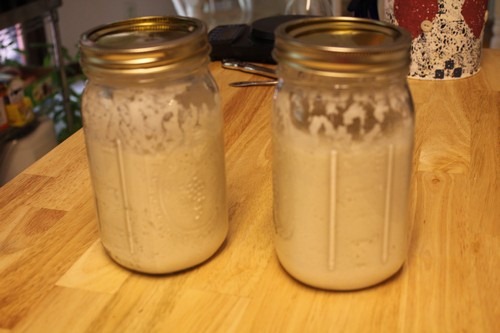 sourdough culture