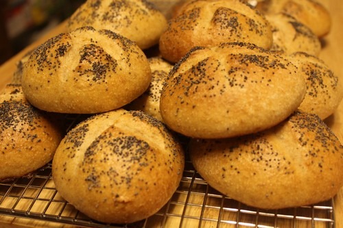 sourdough-poppy-seed-rolls