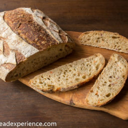 Sourdough Rosemary KAMUT Emmer Loaves