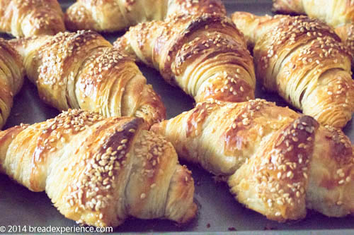 Sourdough Pretzel Croissants