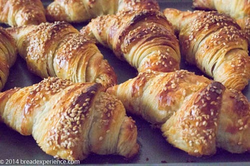 Sourdough Pretzel Croissants