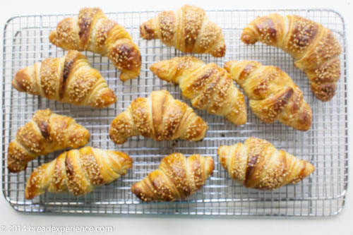 Buttery, flaky and light sourdough pretzel croissants