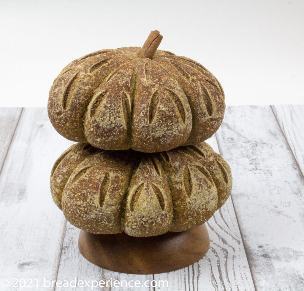 Rustic Sourdough Pumpkin Shaped Bread