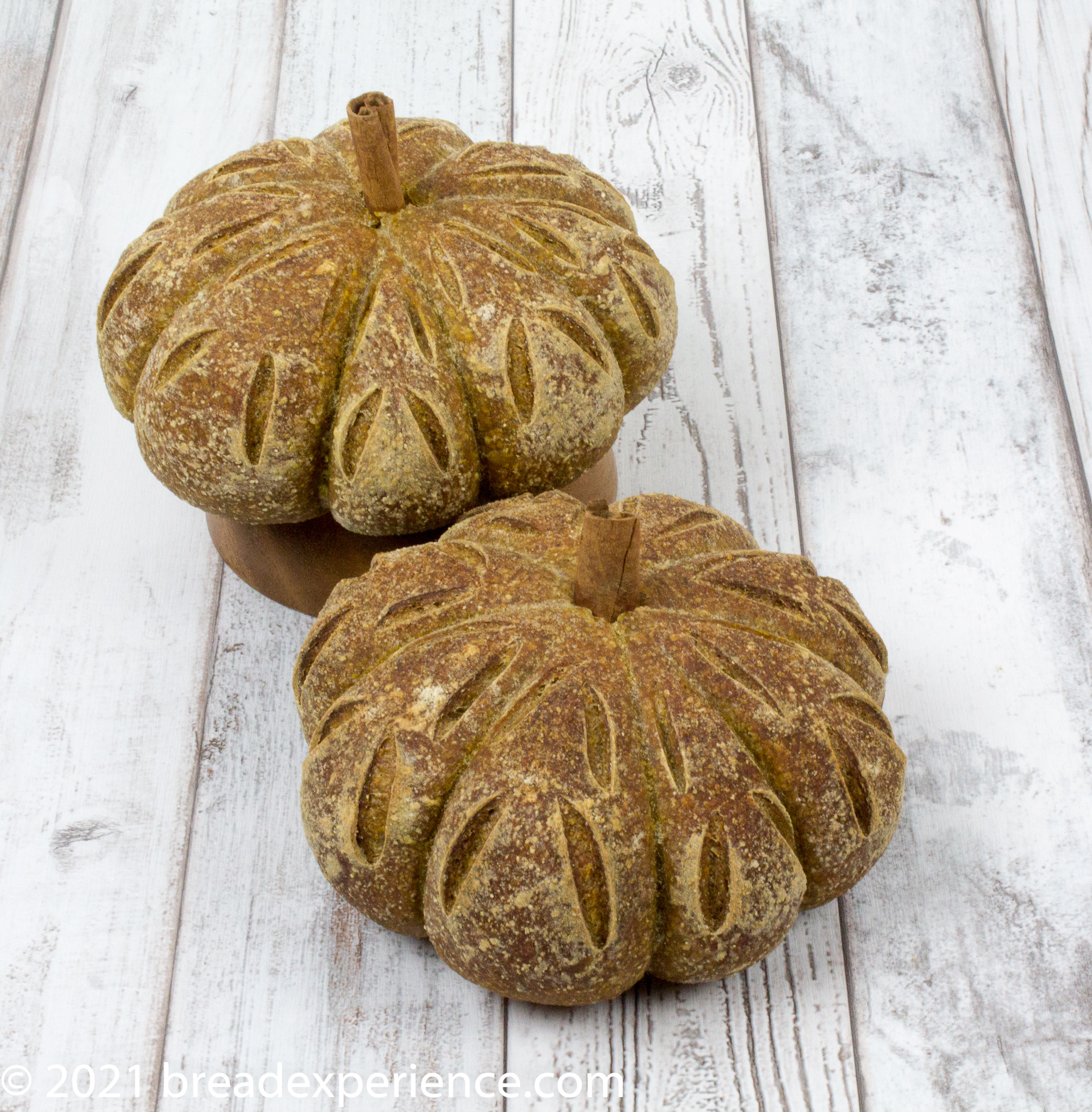 Rustic Sourdough Pumpkin-Shaped Bread