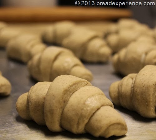 Sourdough Pumpkin Crescent Rolls Proofing