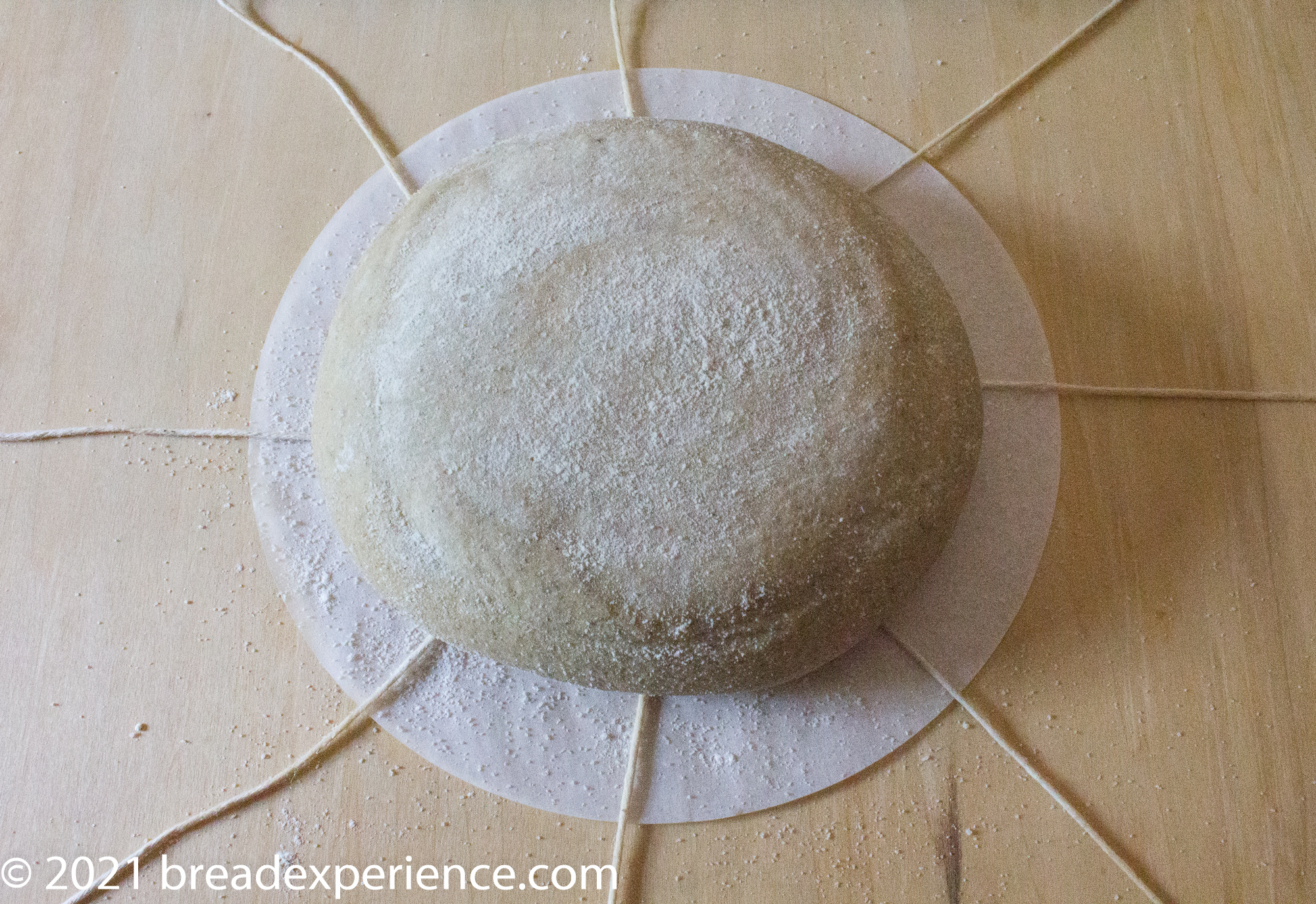 dough on strings before shaping pumpkin