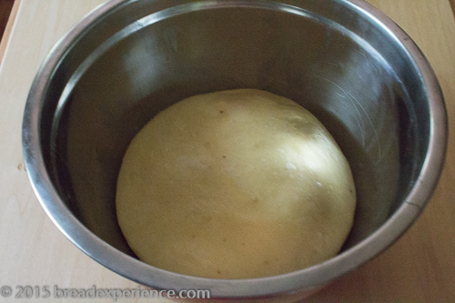 Doubled sourdough Easter braid dough after an overnight rise, nearly filling the stainless steel bowl.