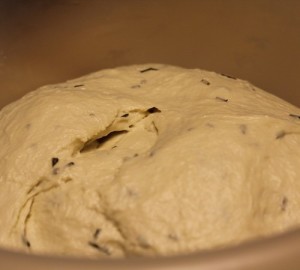 sourdough-rosemary-foccacia_102