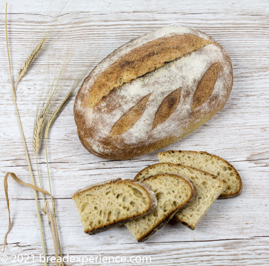 Slow Fermented Light Wheat Olive Oil Rosemary Loaves
