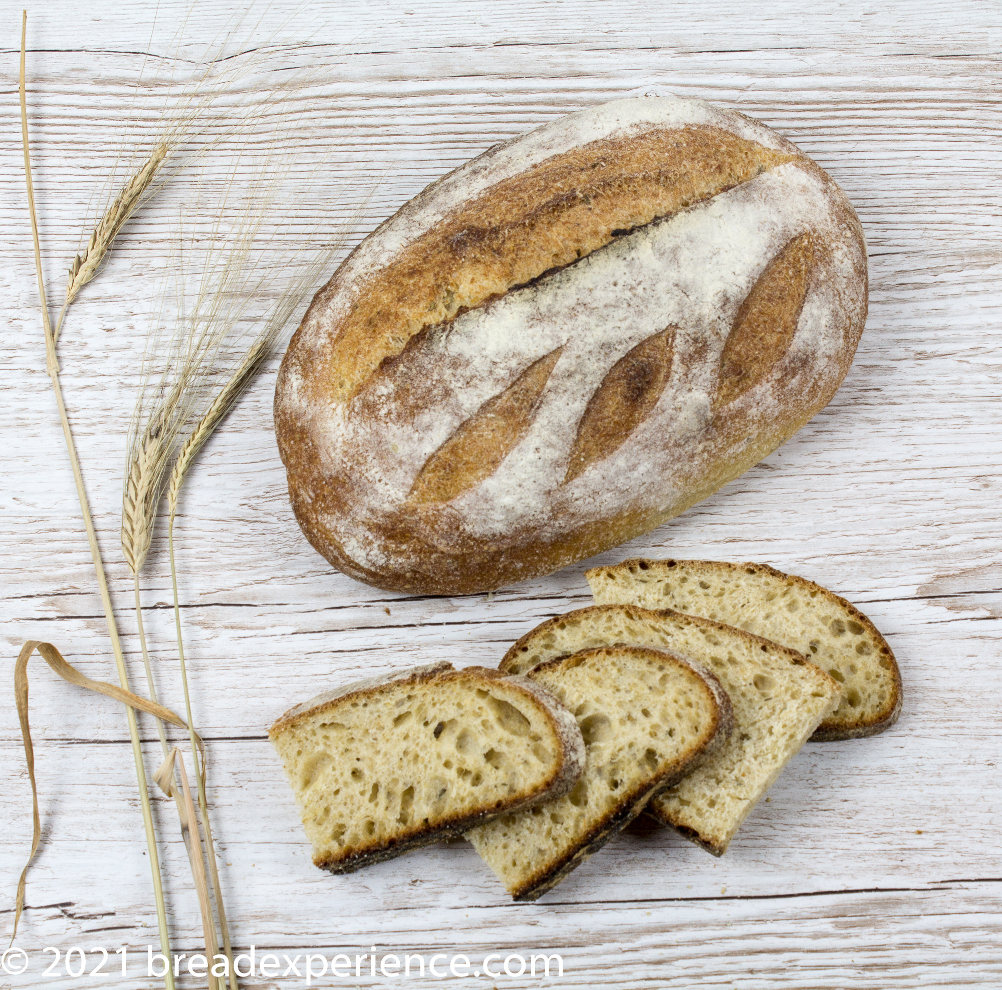 Sourdough Rosemary Olive Oil Loaves with Clarks Cream