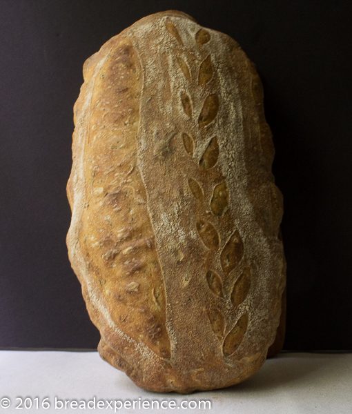 sourdough-rosemary-spelt-semolina-1-5