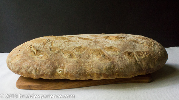 sourdough-rosemary-spelt-semolina-2