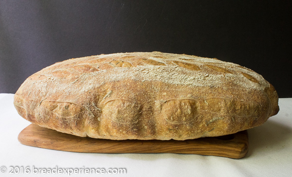 sourdough-rosemary-spelt-semolina-5-2