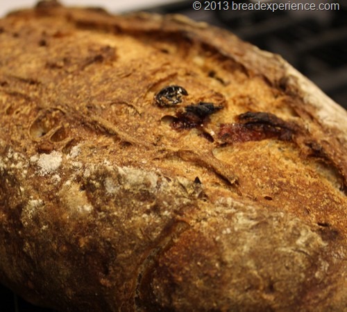 sourdough-rye-cranberries_ close up shot