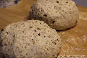 sourdough-seed-bread_1691