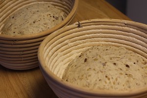 sourdough-seed-bread_1693