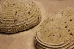 sourdough-seed-bread_1697