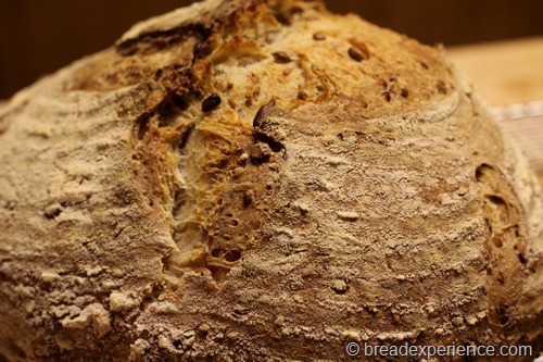 sourdough-seed-bread_1710_thumb-25255B4-25255D