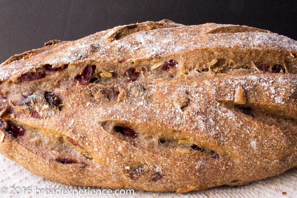 Seeded Sourdough Cranberry Spelt Loaves with Toasted Sunflower Seeds