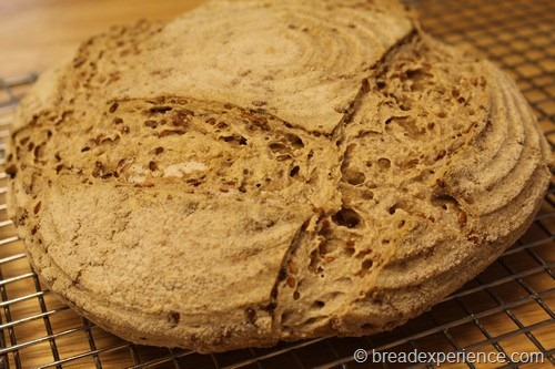 Spelt Sourdough with Flax Seed Soaker Cooling