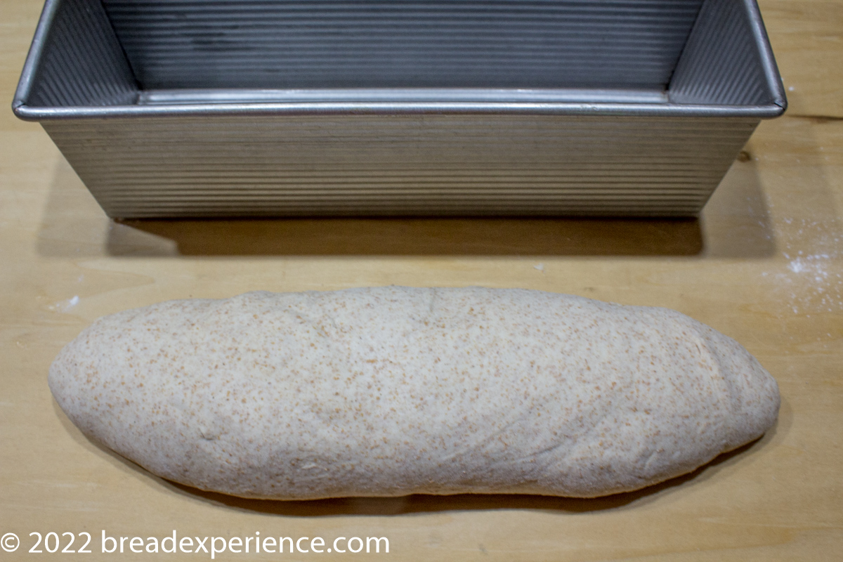 Shaped loaf ready to go in Pullman Pan